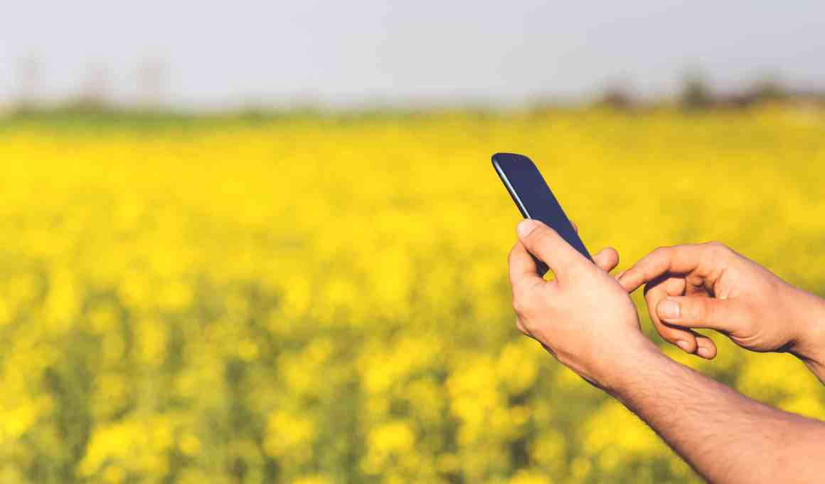 The Yield Lab Latam Announces Its 2nd Edition Accelerator Program For Agtech Ventures