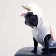 the 21 latin american unicorns galloping to success
