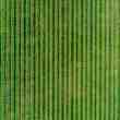 atomic agro developed social media app for farmers, and now raises investment