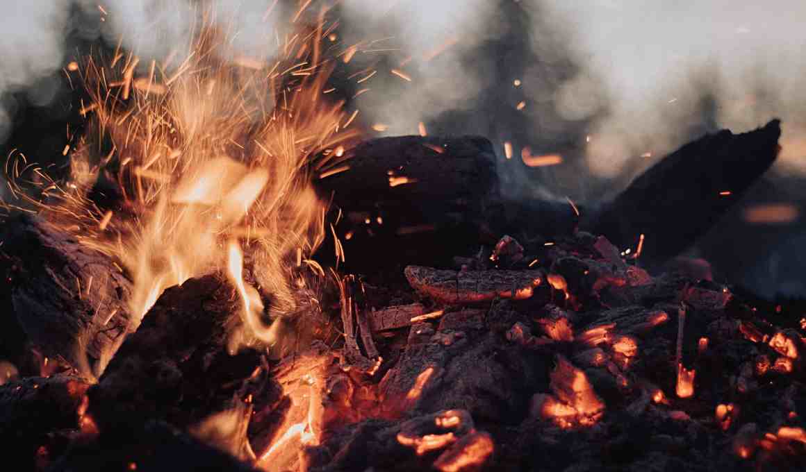 meet peiskos, the mexican bio-oven startup combating climate change
