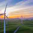 Amazon unveiled plans to build its first large-scale wind farm in Brazil, with a capacity of 49.5 MW, expected to generate 255 GWh annually.