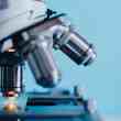 14 biotechs rewriting argentina’s startup dna