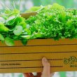 BeGreen is located in multiple cities across Brazil.