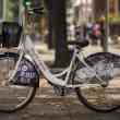 Bicycle Capital_Fund
