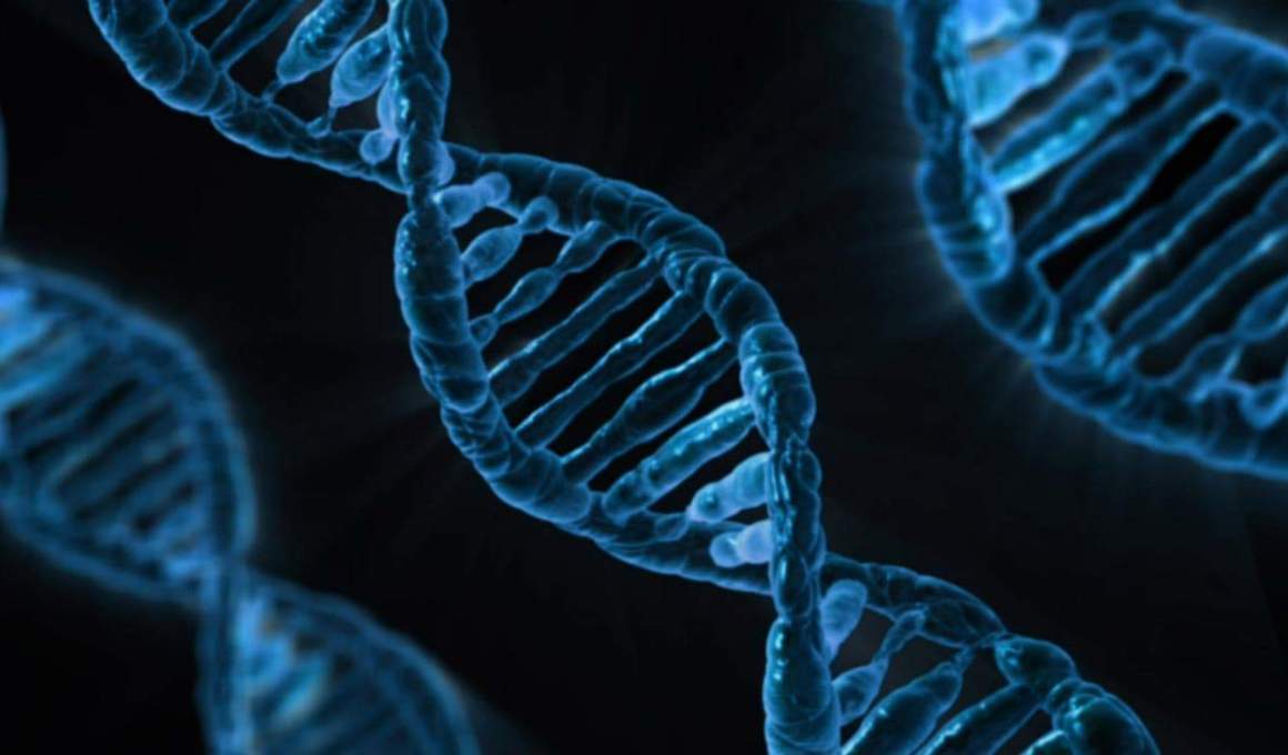 3 latam biotechs ganeshalab will soft-land in the united states