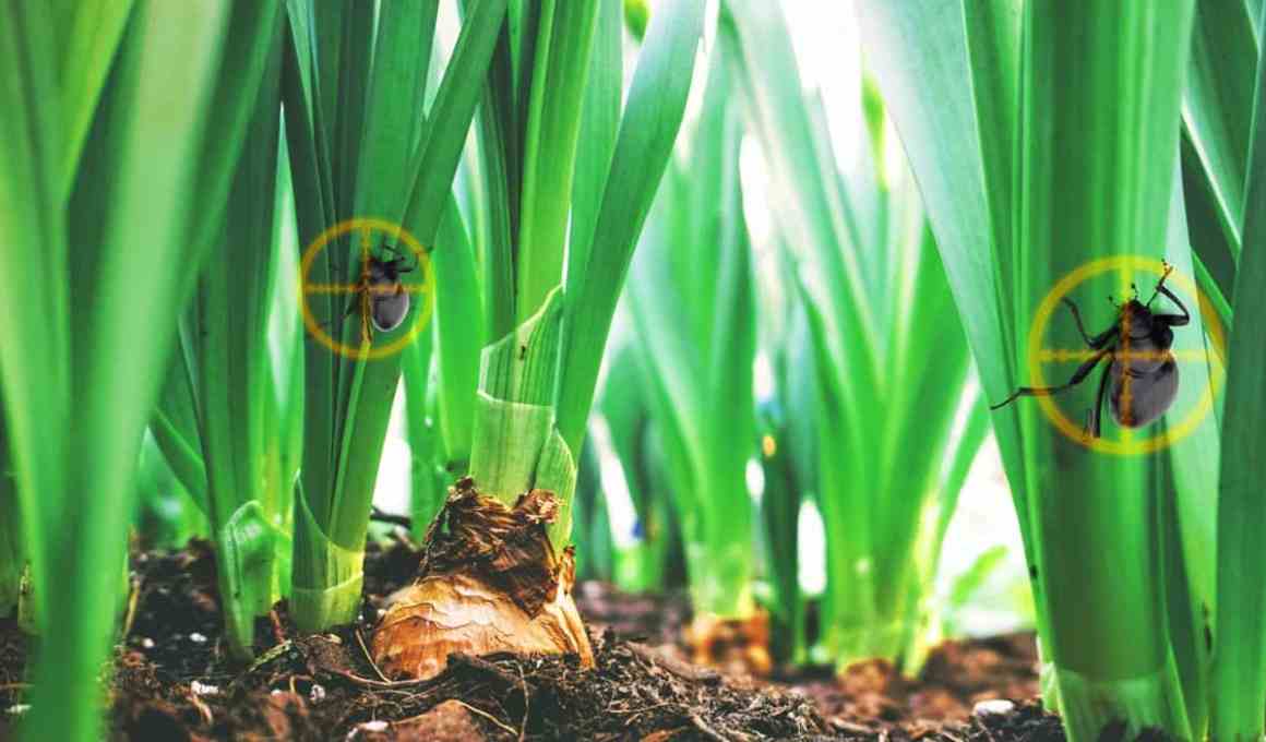 agropro’s platform poised with trivella m3 investimentos us$192,000 investment to fight pests