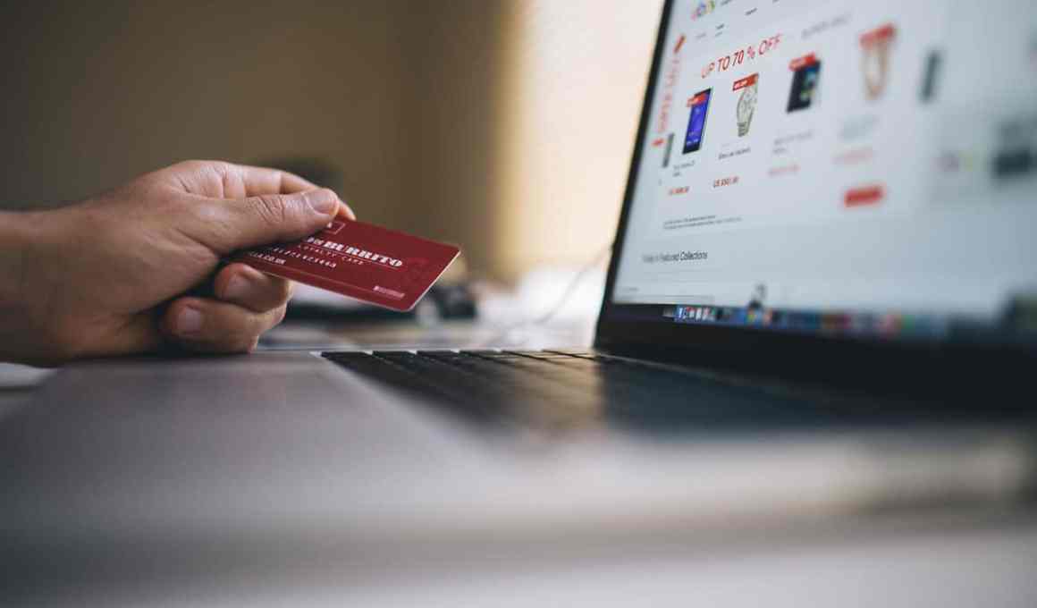 the thriving brazilian e-commerce market