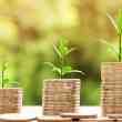 fintech bloxs raises ~us$690,000 with domo invest