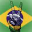 central bank of brazil to launch payment application, pix