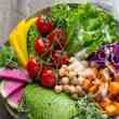 startup cooks up software for vegan food, makes it into european incubator