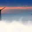 looking to scale up in latin america? wind ventures is looking for you
