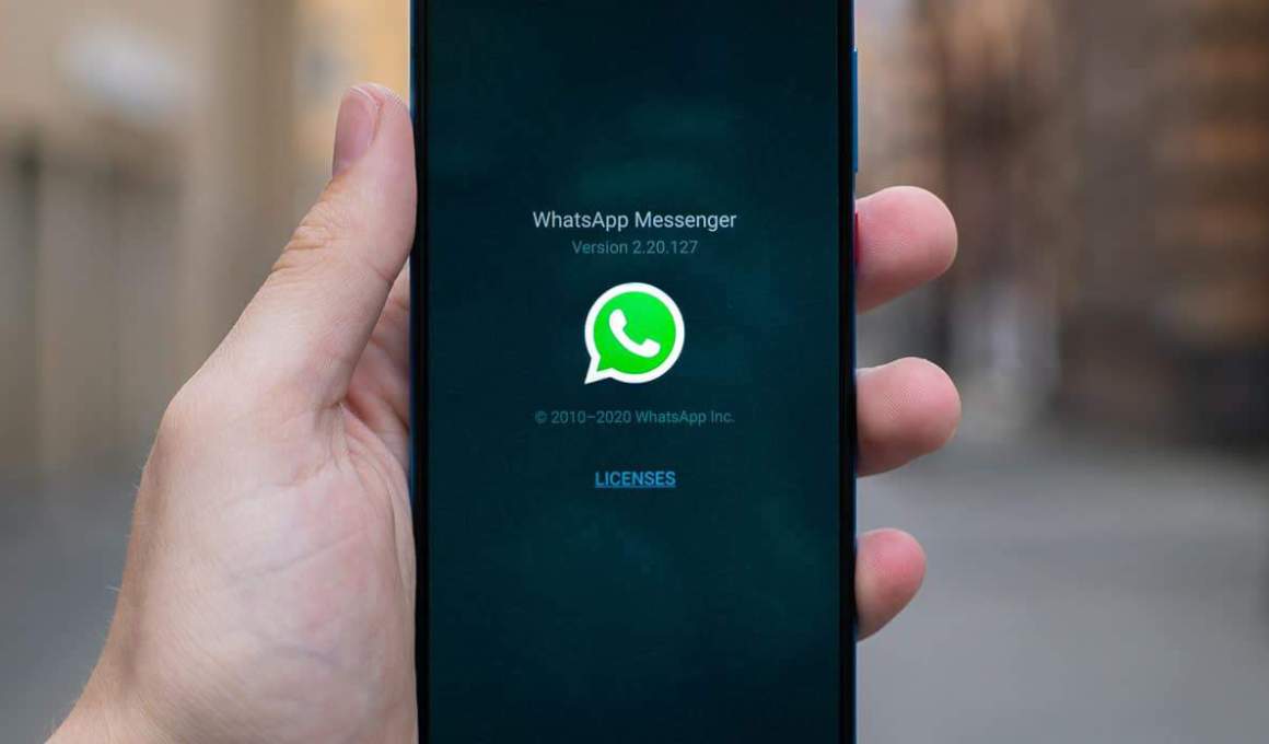 buy bitcoin via whatsapp or telegram in colombia thanks to panda