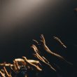 tough times call for innovative solutions, so one startup launched 3… in a week