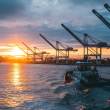 covid has blinded import dependent companies so nowports opened its ai tracking for all