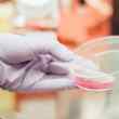 daeki, the chilean startup using saliva to diagnose diabetes