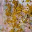 descifra lands an undisclosed series a investment from angel ventures