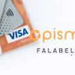 Falabella-Pismo-Unicorn