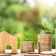 Fintech Pontte wants to offer more flexible credit terms.