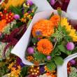 brazil’s esallabs brings innovation to… floriculture?