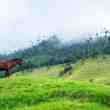 hughes network and facebook bring wi-fi hotspots to rural colombia
