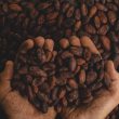 inter-american development bank will use us$600,000 to help small mexican farmers through blockchain
