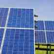 chilean inti-tech’s solar panel robots are cleaning up a secretly dirty industry’s act