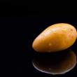 mexico’s genius foods gobbles up foodtech seed round led by redwood ventures