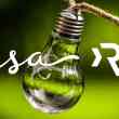 ISA-Rockstart-Energy Startups