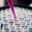 brazilian biotech startup, pluricell, raises us$1 million to combat cardiovascular disease