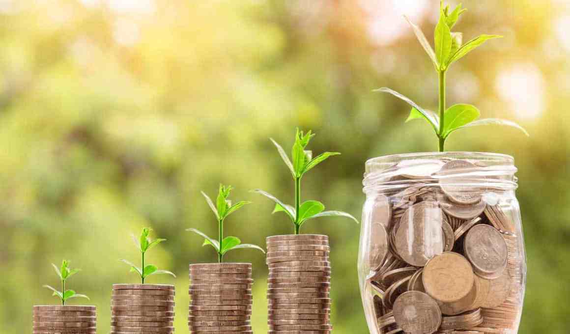 with 43% of chilean entrepreneurs ending operations due to lack of capital, red capital has a solution