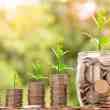 with 43% of chilean entrepreneurs ending operations due to lack of capital, red capital has a solution