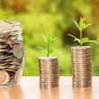 Medina Ventures, a venture capital firm, is in the process of raising funds to establish its first fund for LATAM startups.
