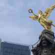 angel ventures guadalajara launches seed fund, carabela