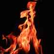 firecity alerts users of fires in real-time with iot