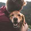 the cat’s out of the bag! petlove raises us$48 million with softbank