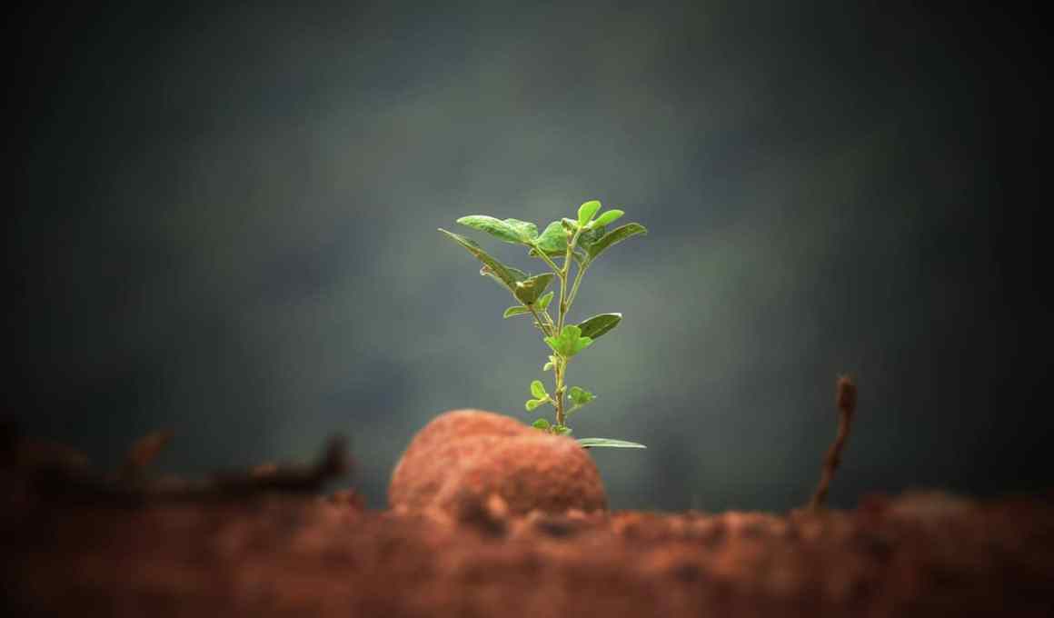pratian secures us$200,000 from u.s. government to expand agrotech solution