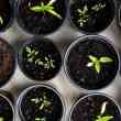 Seed Fundraising: Do It Fast Or Don't Do It At All