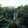 selina hosts global events to promote amazon rainforest restoration