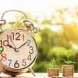 Small_Venture_Capital