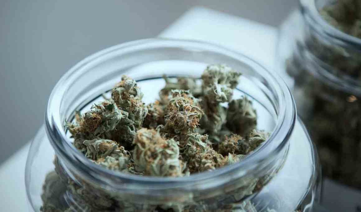 uruguay can partners with aeternity to develop marijuana blockchain