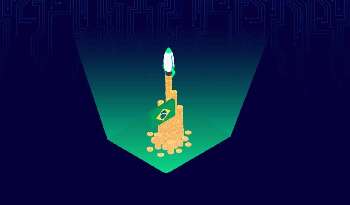 the ultimate guide to venture capital in brazil 2020
