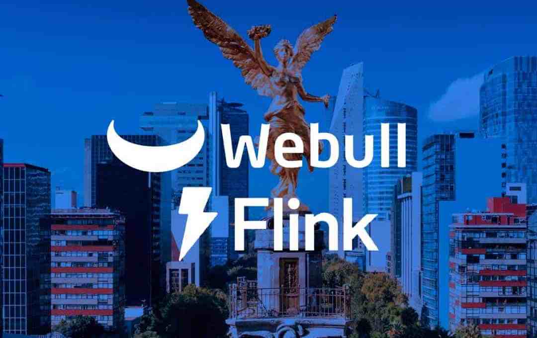 Webull Flink